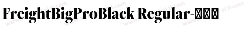 FreightBigProBlack Regular字体转换